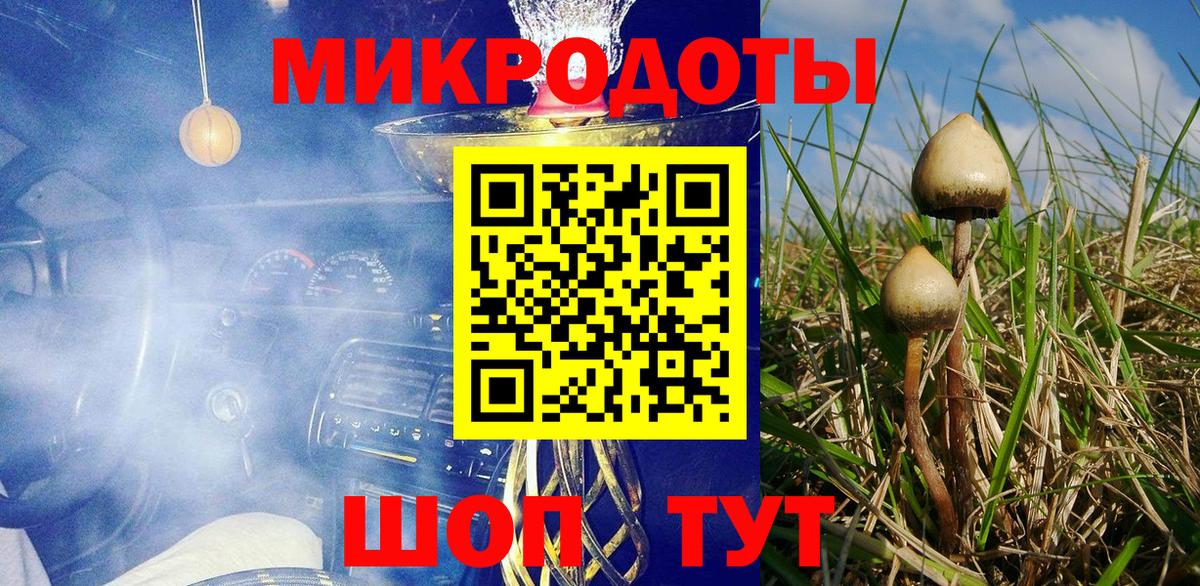 Псилоцибиновые грибы Psilocybine cubensis  Псилоцибиновые грибы Psilocybine cubensis  купить закладку  Дербент  Вход с VPN 